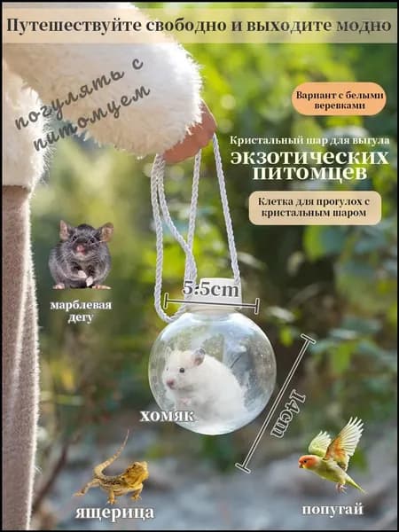 клетка для маленьких домашних животных, прозрачная клетка