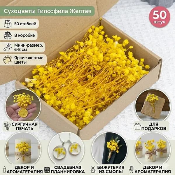 Сухоцветы, 8 см, 50 шт