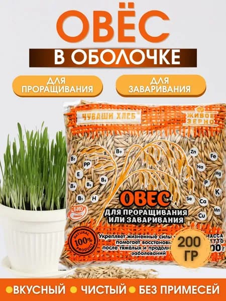 Овес для заваривания и настоев Чуваши Хлеб 200 г, для проращивания, в оболочке