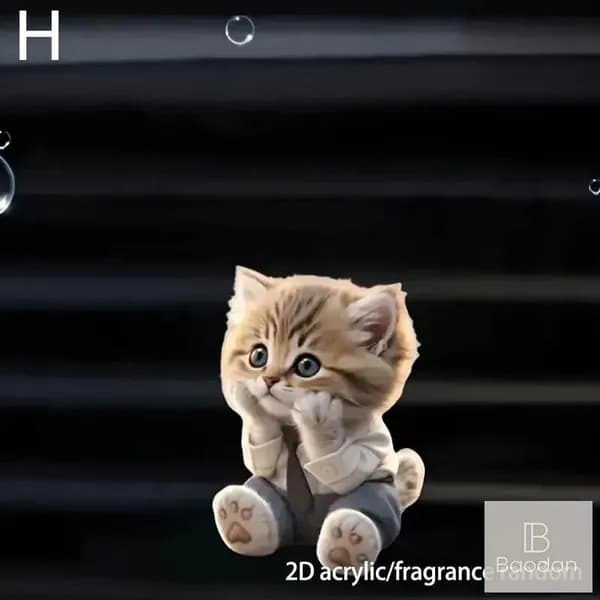Ароматизатор автомобильный, H