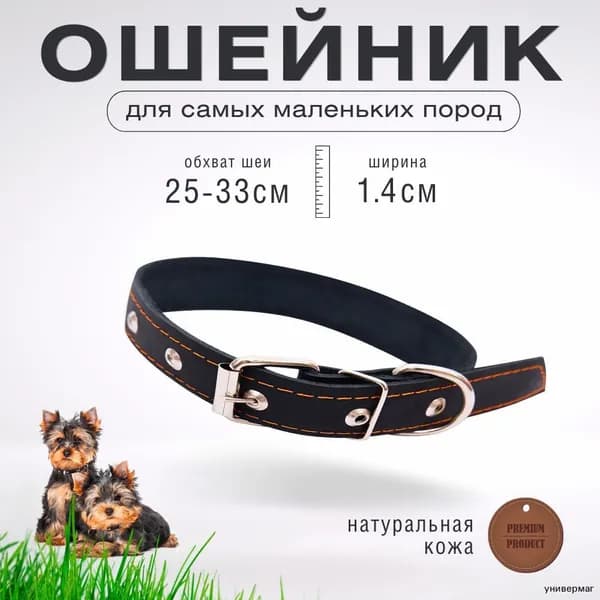 Ошейник