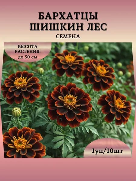 Бархатцы "Шишкин Лес" семена, 1 пачка