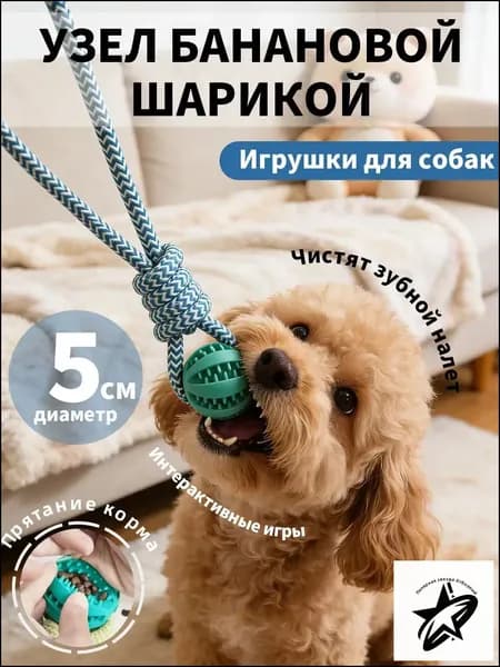 Игрушка-мяч для собак с канатом и отсеком для лакомства, жевательная развивающая, прочная, мелкие и средние породы, дрессировка