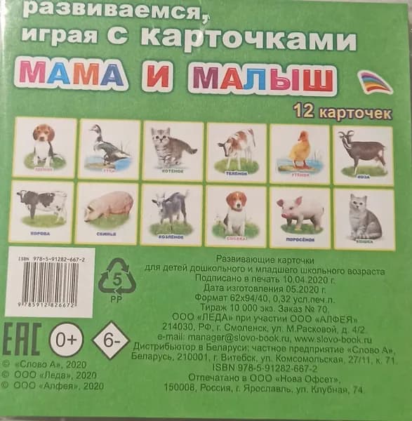 Обучающие карточки. Мама и малыш 12 карточек, леда