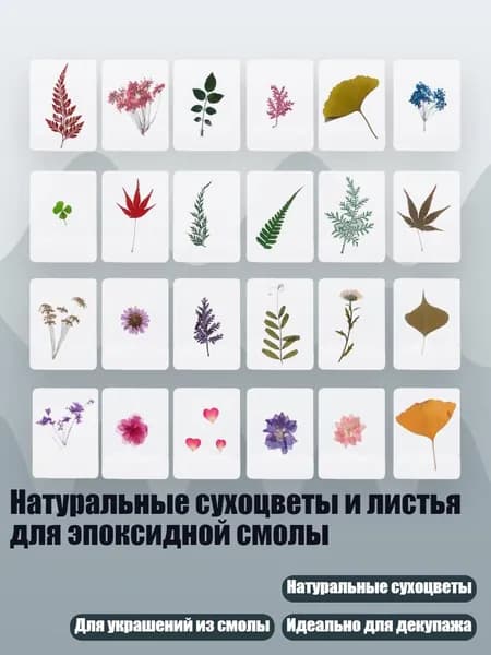 Натуральные сухоцветы и листья для эпоксидной смолы, Белый