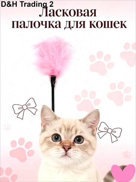 Палочка из перьев, с помощью которой можно играть со своей кошкой.