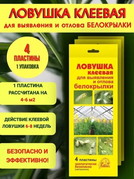 Клеевая ловушка от белокрылки в теплице