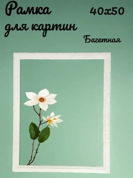 Рамка для картин 40х50