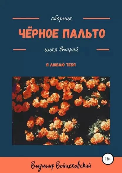 Чёрное пальто. Я люблю тебя. Сборник стихотворений. Цикл второй | Смирнов Владимир Александрович | Электронная книга