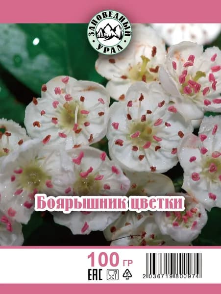 Боярышник цветы и лист
