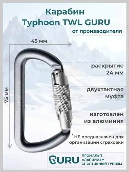 Карабин альпинистский Typhoon TWL (цвет серый)