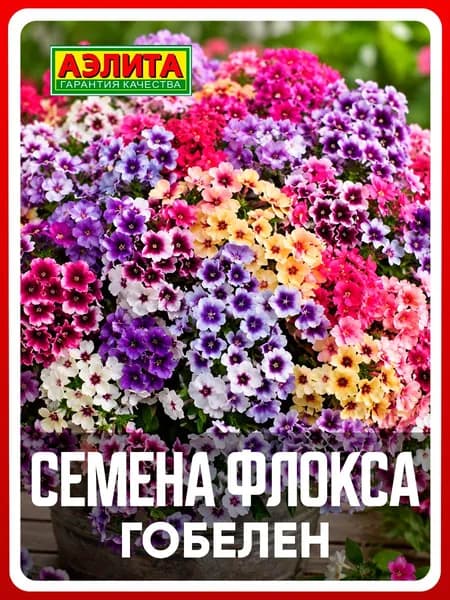 Семена Флокс друммонда "Гобелен" смесь 0,1 гр, однолетние цветы для дачи, сада и огорода, клумбы, в открытый грунт, на балкон, в ящик.