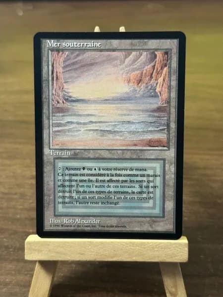 Заголовок: Волшебство в твоих руках: Уникальная карта Magic: The Gathering (MTG) с защитным протектором в подарок!