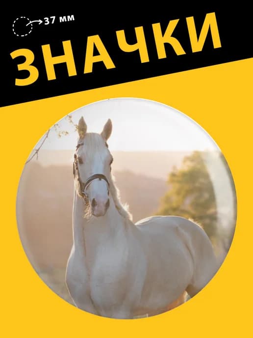 Значки на рюкзак лошади