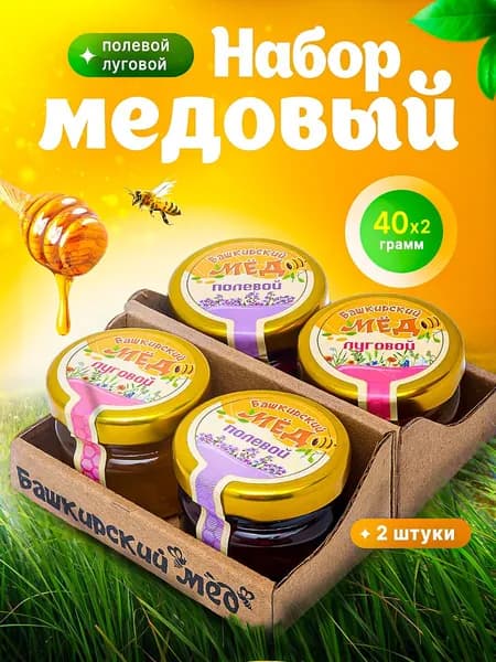 Набор "Башкирский мед" 2х40 луговой/полевой крафт с ложкой 2 шт.