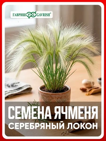 Семена Ячмень гривастый "Серебряный локон" 0,1 г, для дачи, сада и огорода, в открытый грунт