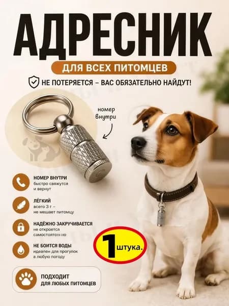 Адресник - капсула для кошек и собак / брелок капсула мини для животных , цвет серебряный, 1шт.