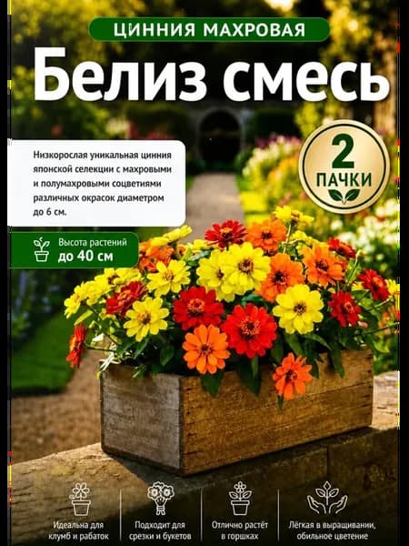 Цинния Махровая Белиз 2 пакета