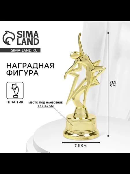 Подарочная золотая фигура под нанесение для награждения