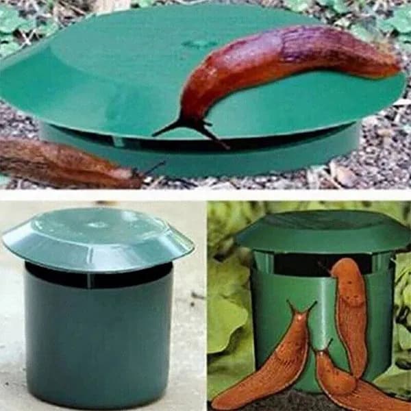 Ловушка для садовых вредителей