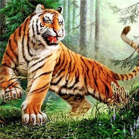 Алмазная мозаика со стразами Тигр/Выкладка полная/Размер холста 30х30 см/Размер картинки 25х25