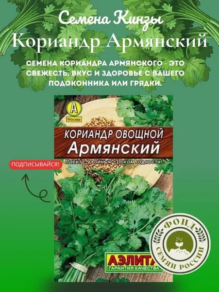 Семена Кориандр армянский, Кинза, семена 3 гр.
