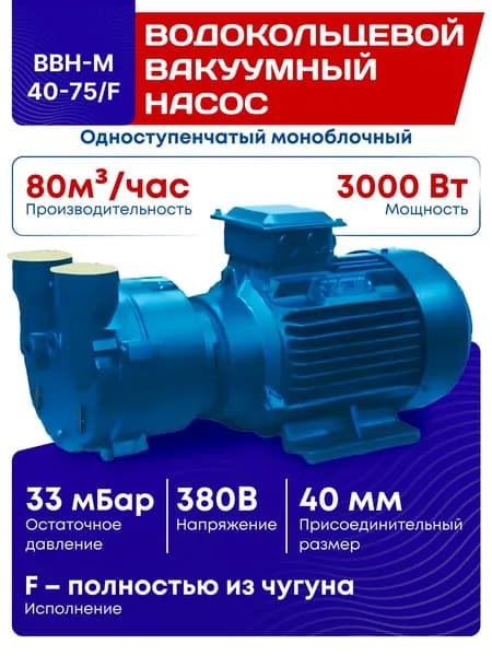 Одноступенчатый моноблочный водокольцевой вакуумный насос BBH-M 40-75/F с двигателем 3 кВт