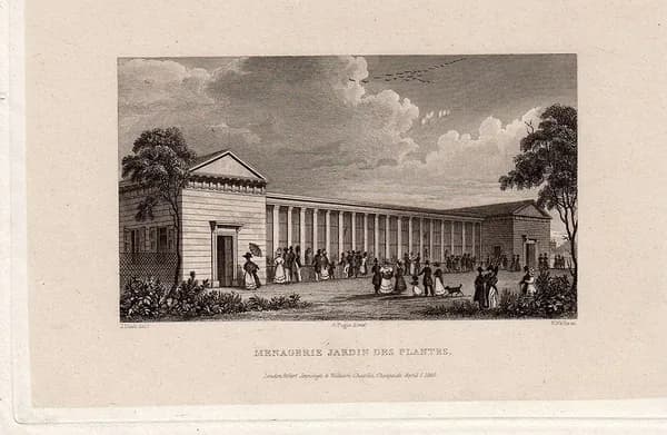 1830 год. Гравюра. Франция, Парижский зоопарк