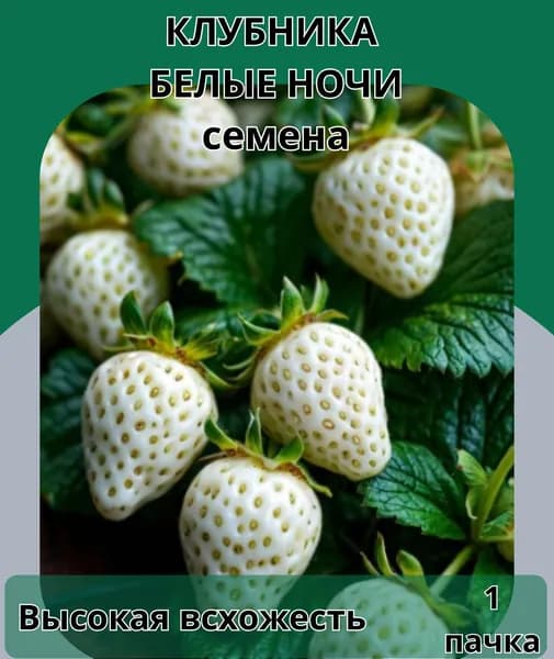 Клубника балконно-комнатная Белые ночи, семена 10шт