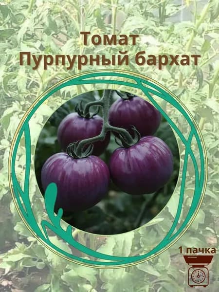 Томат Пурпурный бархат 10 шт. семян