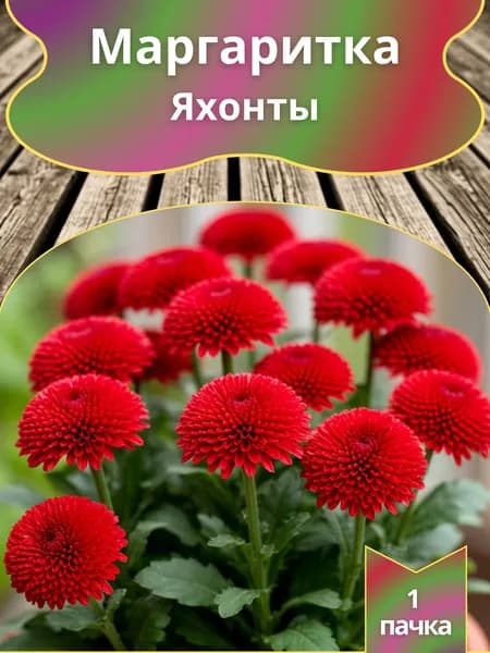 Маргаритка Яхонты ,семена 10шт.