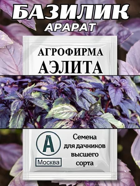 Базилик овощной АРАРАТ фиолетовый Германия