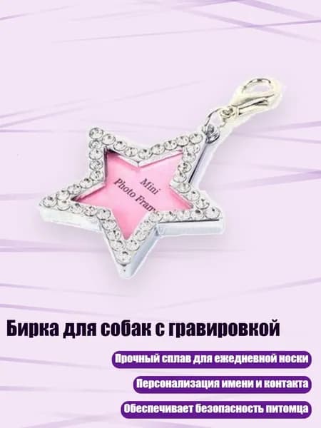 Бирка для собак с гравировкой, - Пентаграмма