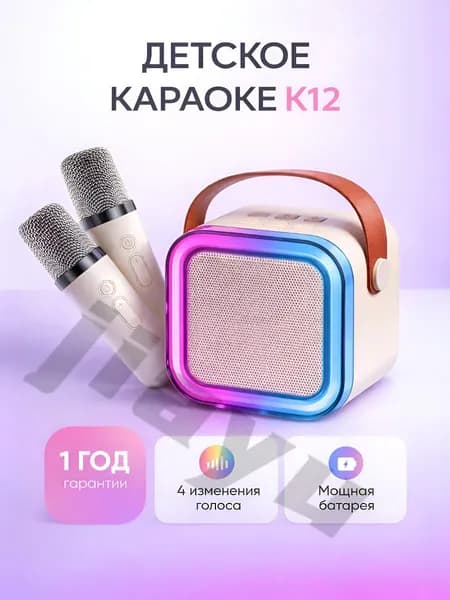 Детская караоке система с двумя микрофонами