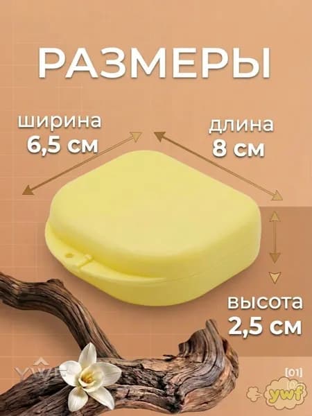 Контейнер стоматологический, пластиковый, универсальный для хранения зубных протезов и брекетов/футляр ортодонтический для кап и пластинок/коробочка маленькая, стерильная, дорожная, с крышкой
