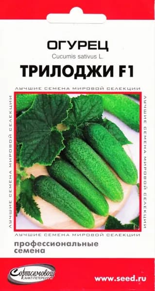 Огурец Трилоджи F1, 6 семян