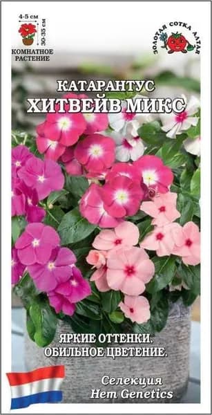 Катарантус Хитвейв микс /Сотка/ 10шт/ h-30-35см d-4-5см /*