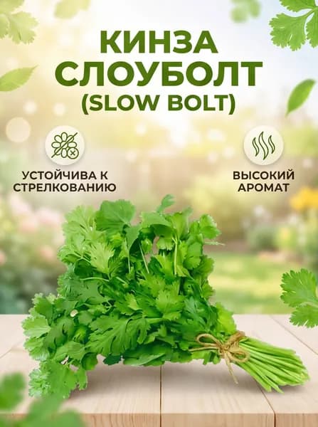 Кориандр (кинза) Слоуболт (Slowbolt от Madaldi Sementi), профессиональные семена, 2 г, Италия