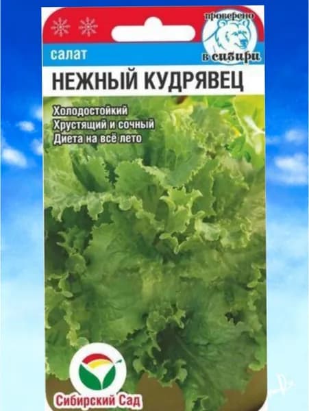 Салат "Нежный кудрявец" семена Сибирский Сад