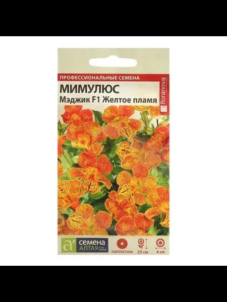Яркие цветы Мимулюс для сада и дома