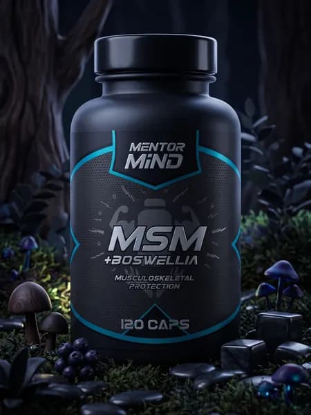 МСМ и Босвеллия витамины для суставов и связок 120 капсул Mentor Mind