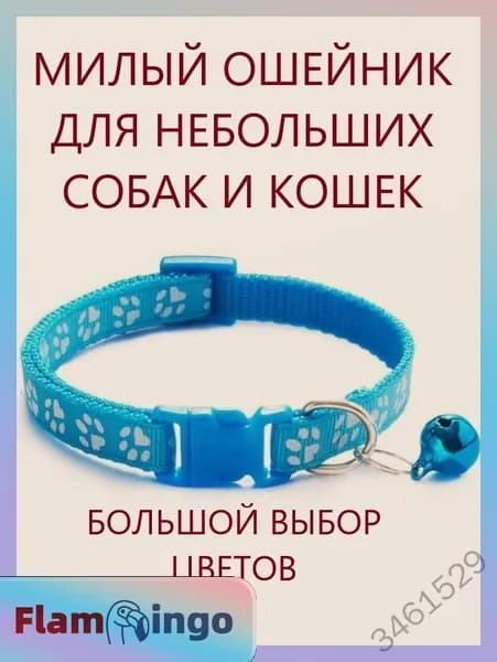 Ошейник