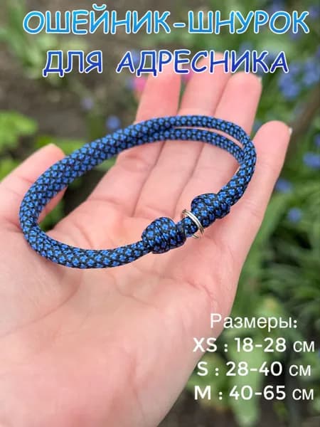 Ошейник-Шнурок для адресника из паракорда, синий, M (40-65см)