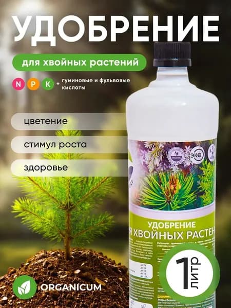 Удобрение для хвойных растений