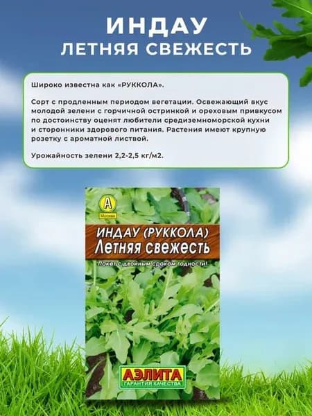 Семена Индау (руккола) Летняя свежесть, Агрофирма Аэлита