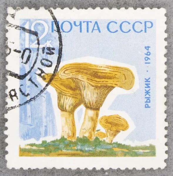 Почтовая марка "Рыжик". Номинал 12 коп. СССР. 1964 год. (Загорский 3040А)