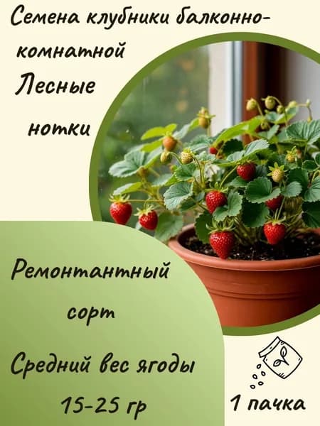Семена клубники балконно-комнатной Лесные нотки, 10 шт. семян