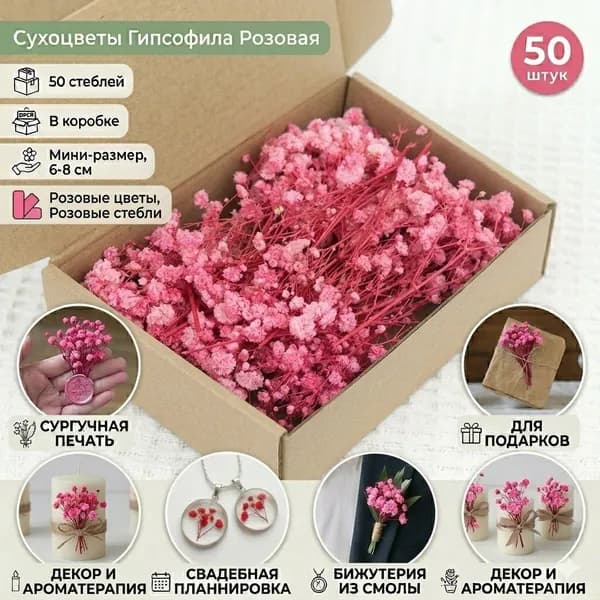 Сухоцветы, 8 см, 50 шт
