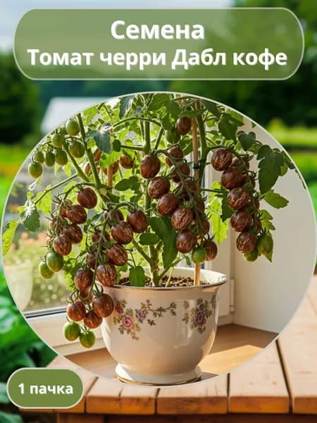 Томат черри Дабл Кофе, семена 10 шт