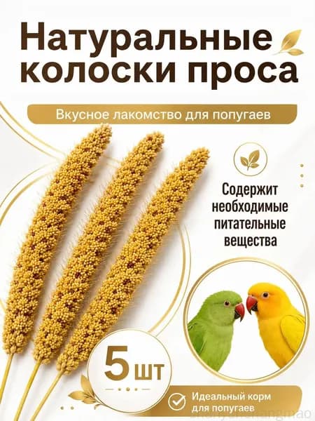 Чумиза для попугаев 5 шт. сенегальское просо лакомство игрушка для птиц и грызунов , урожай 2025 года - КОПОШИЛКА бренд от производителя